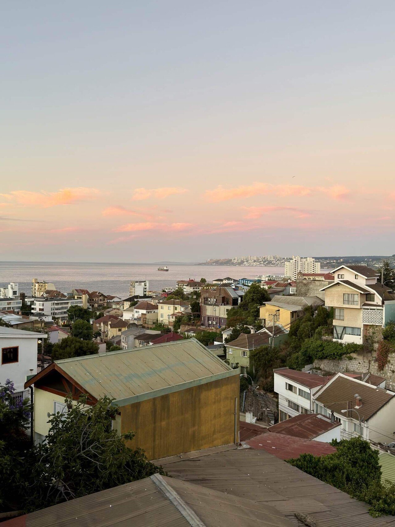 モアイ出品　その他の方の購入はご遠慮ください。 世界一周再出発day50「モアイ像を見る」inチリ｜みやか / 世界一周