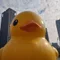みやま　なお