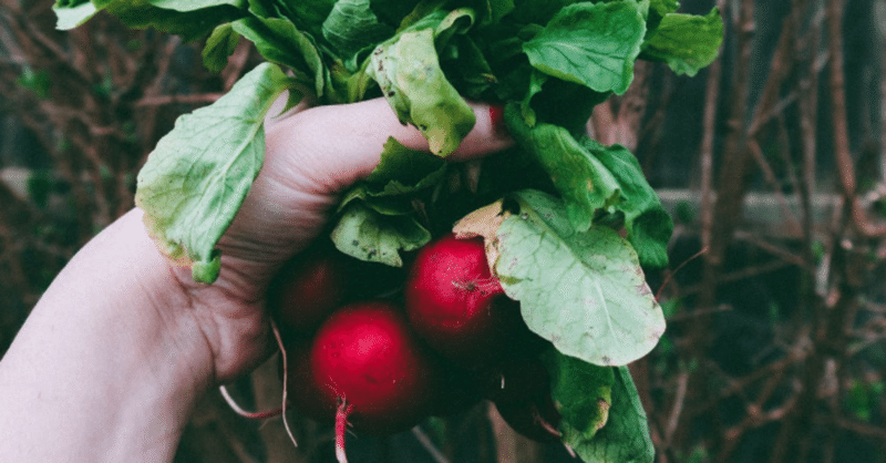 We Are What We Eat 26 Hiro Note