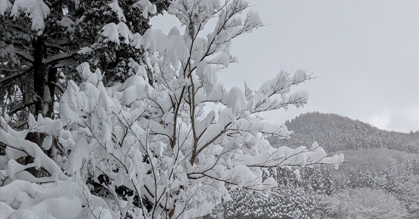 私たちは「都合のいい安全」を夢見ている｜織山英行／ORIYAMA Hideyuki