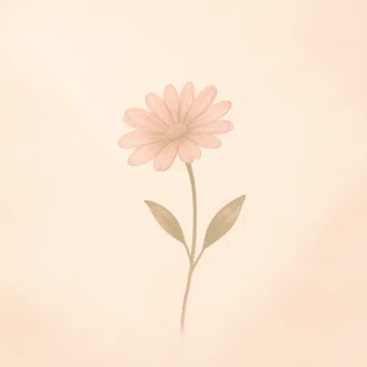 知花｜モラハラと向き合う私の記録