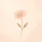 知花｜モラハラと向き合う私の記録