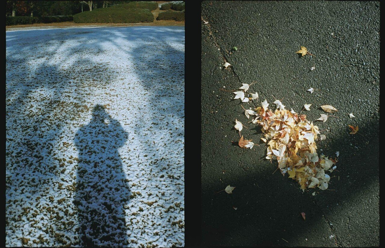 Olympus Pen S vol.2｜YON