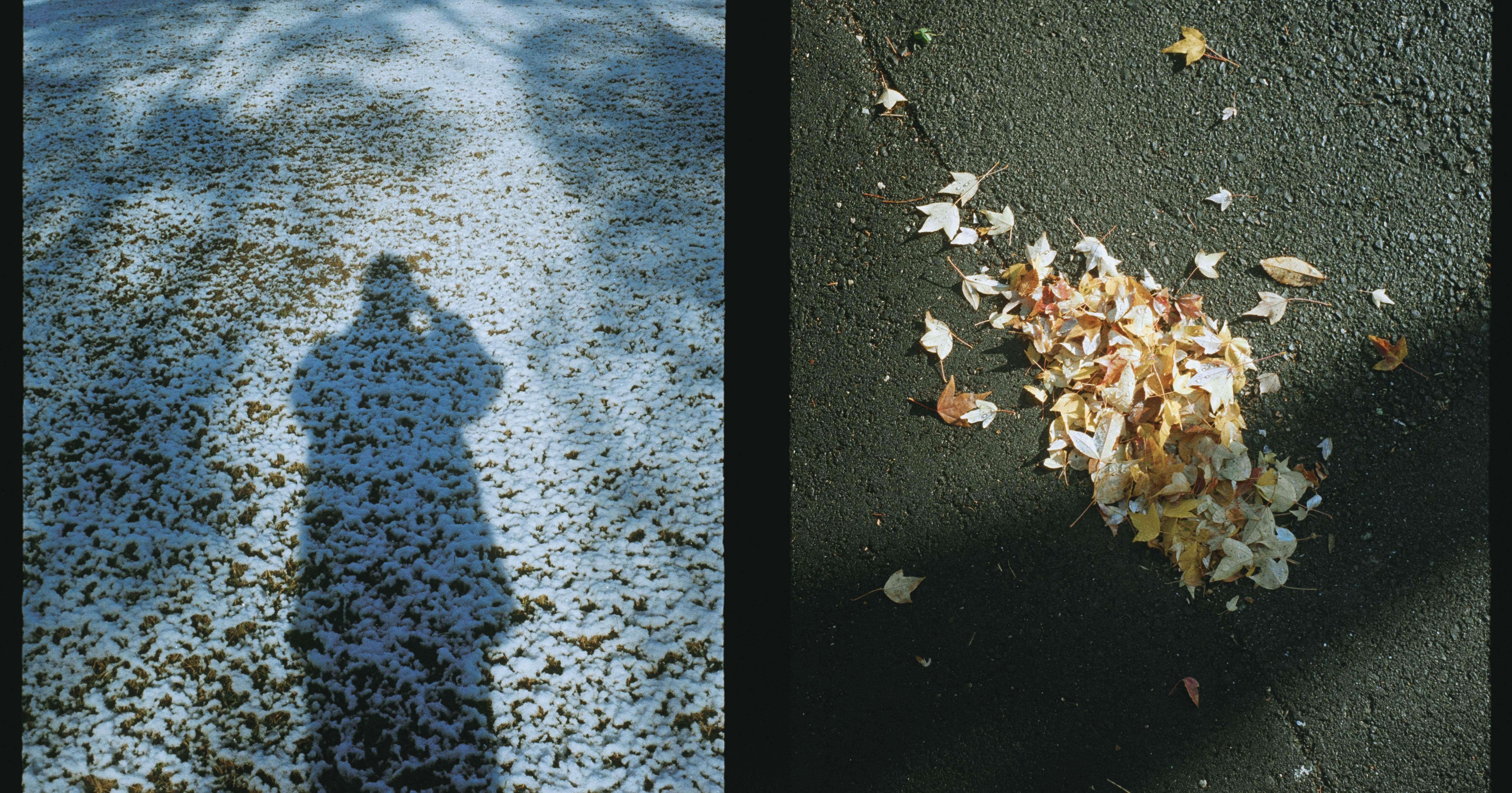 Olympus Pen S vol.2｜YON