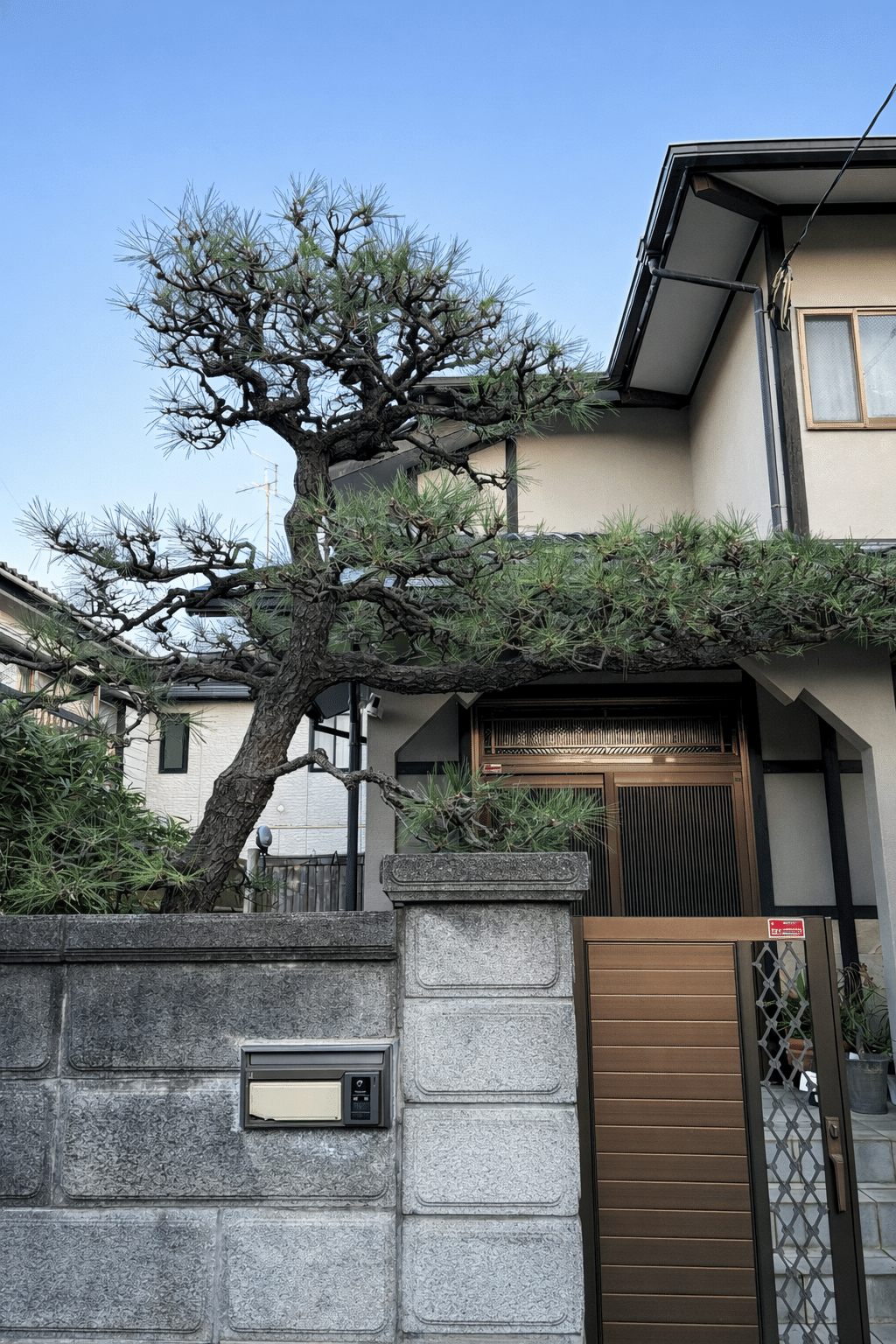 門かぶり松とは？和風住宅に欠かせない存在｜フラワーライフ研究会の