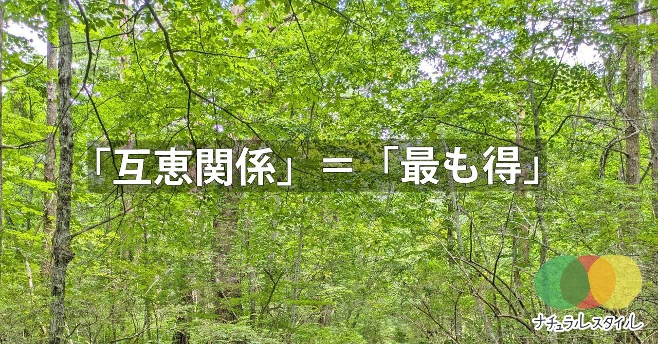 「互恵関係」=「最も得」|自分にとって最良の人間関係の築き方|井田敦之|「自然界の学び」を伝える人