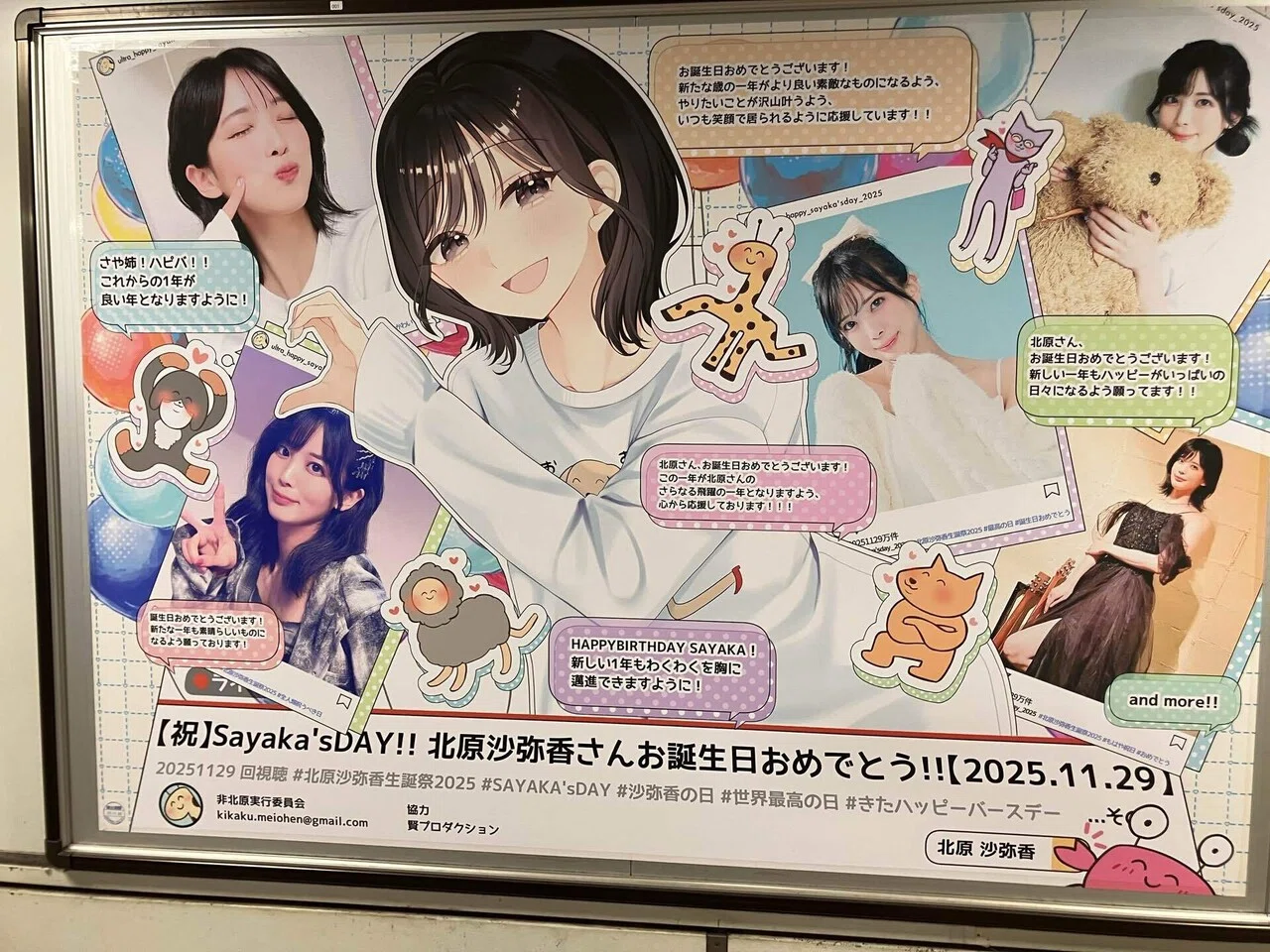 月刊かめちゃん 2025年 企画主催編｜かめちゃん