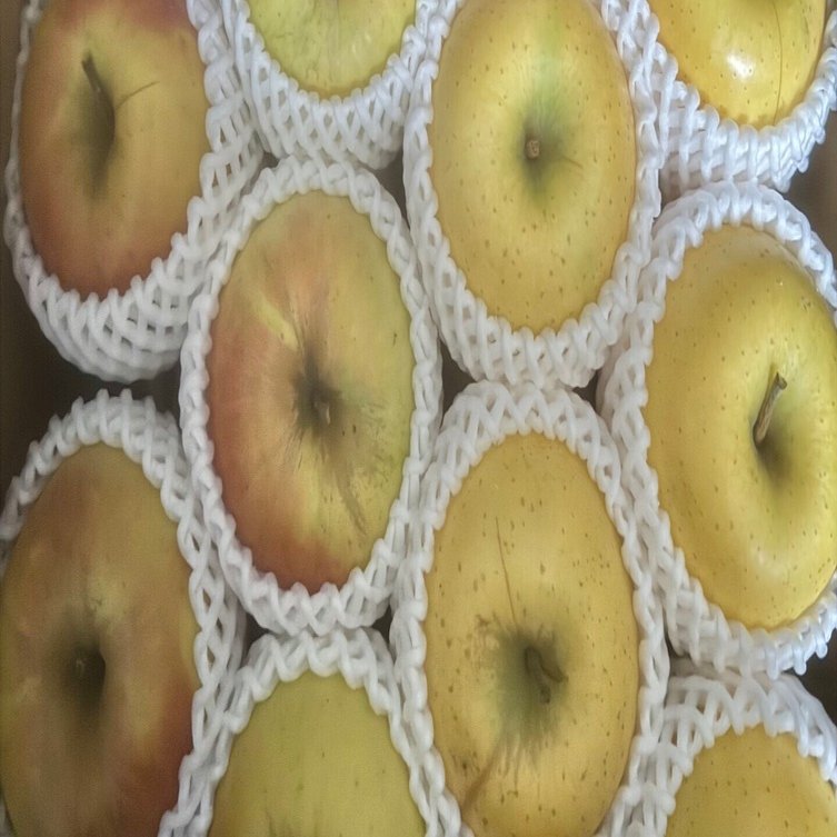 りんご🍎🍏ちゃん無事にとうちゃーく♪｜おーじろー