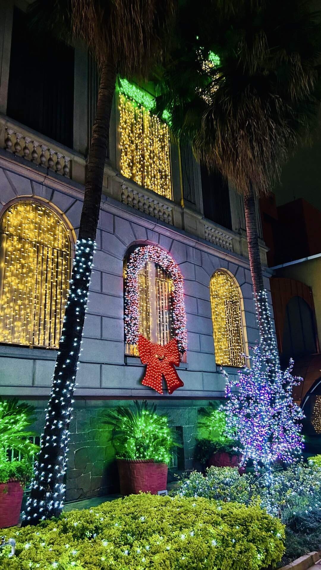 2025年のイルミネーションを見に〜暮れのご挨拶〜｜Kikko_yy