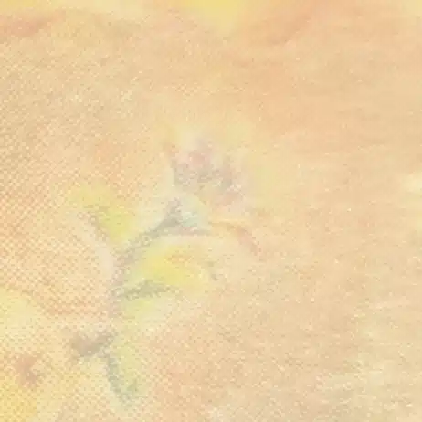 温詩夏