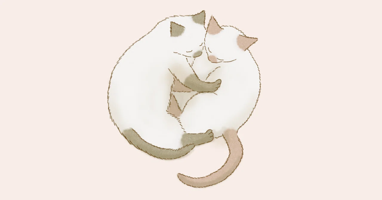 夜が明けるとき猫がそばにいれば」単行本発売御礼申上立奉〼