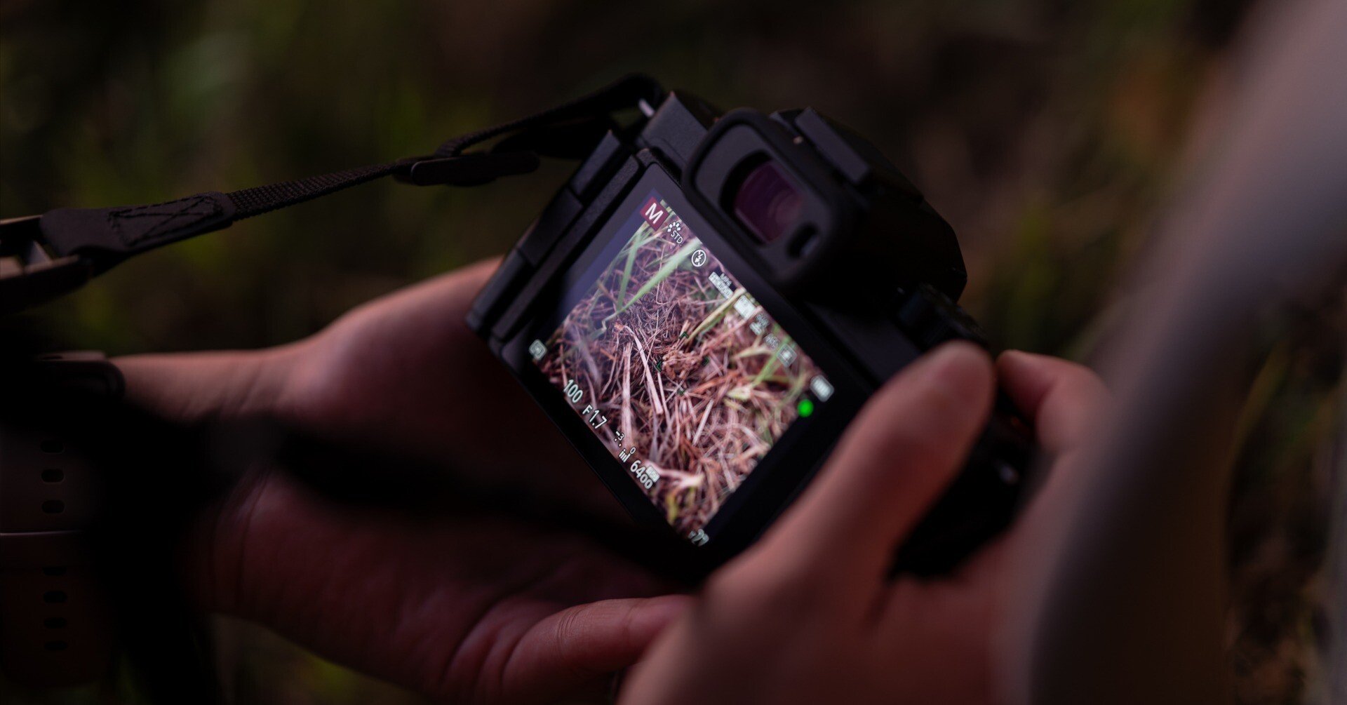 19 1周回ってミニマルなカメラが欲しくなる｜newbiegrapher