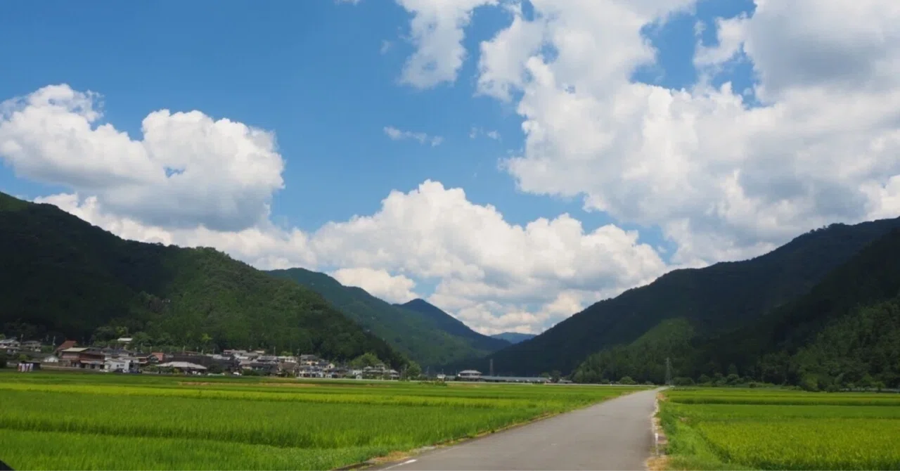 I want a divorce right now... _Marriage Unfit_ (Episode 25)｜伴やヤヤ