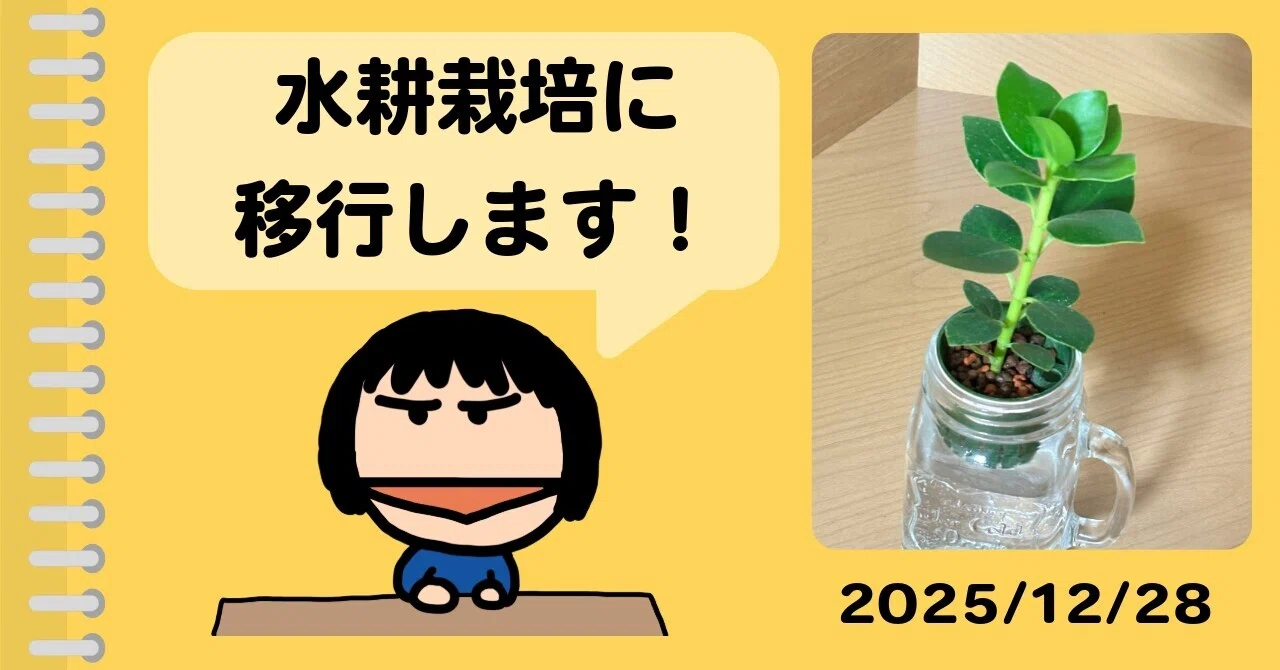 Amazon.co.jp: リビングファーム 水耕栽培用 ハイドロボール（大・中 
