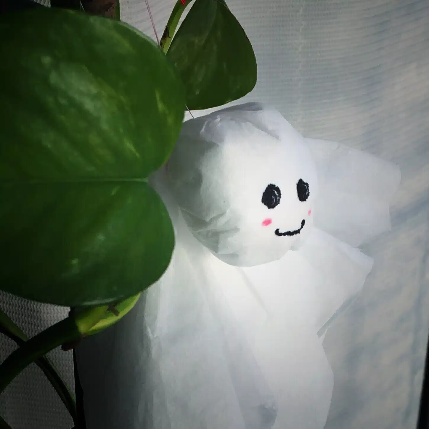 にきち（けふの一句）
