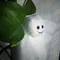 にきち（けふの一句）