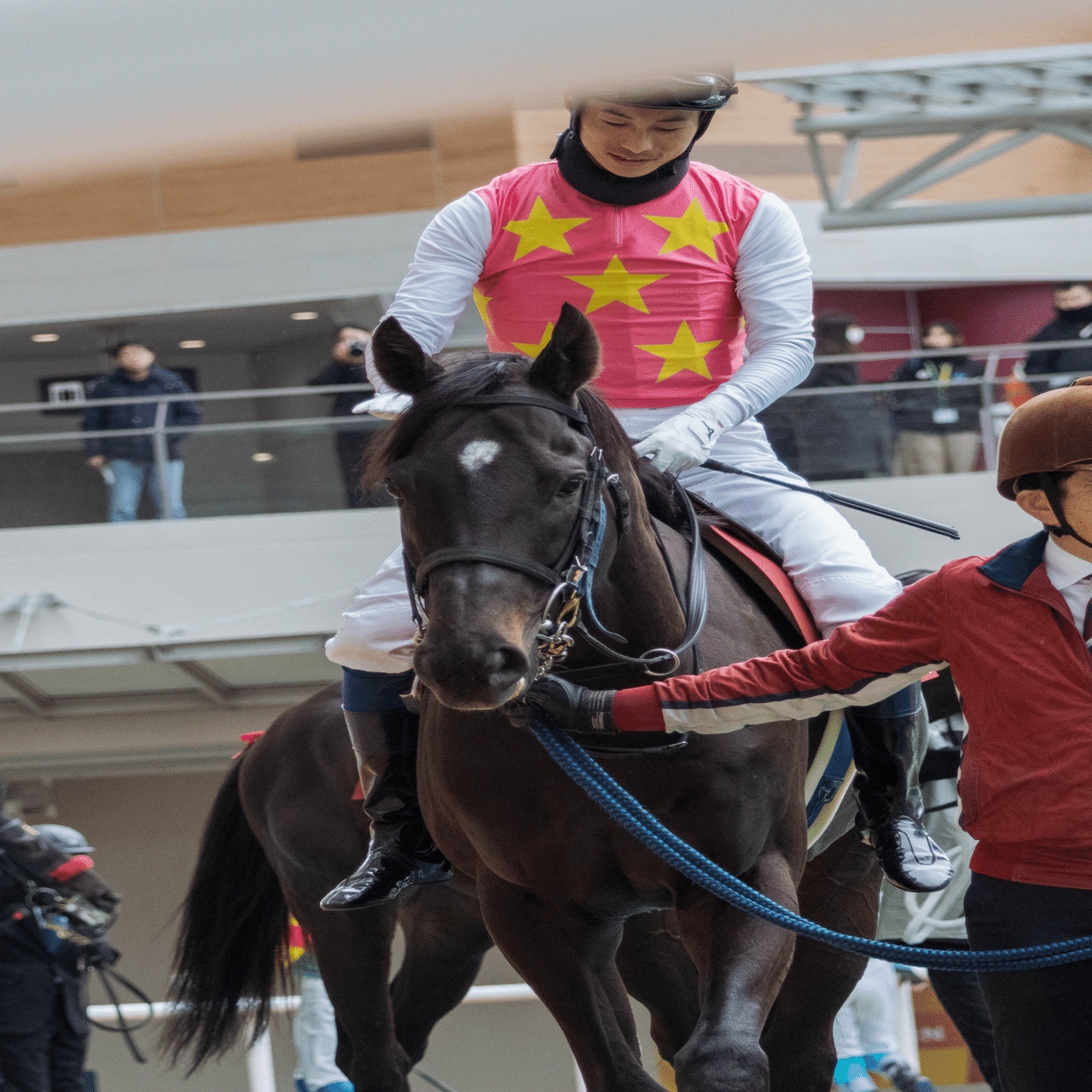2025年を競馬写真とともに振り返り｜mayu