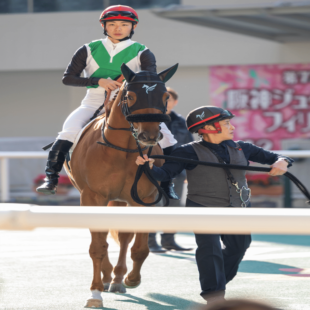 2025年を競馬写真とともに振り返り｜mayu