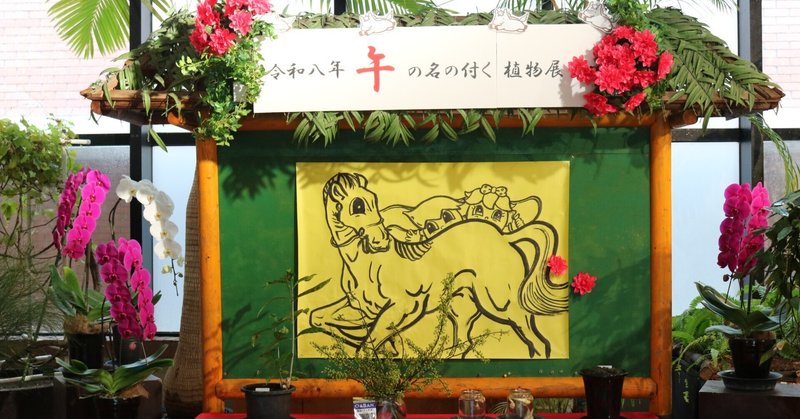 本日のスタッフのおすすめ