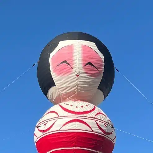 コココーン