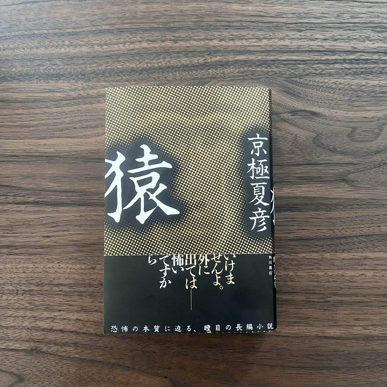 12月読了本⑤京極夏彦『猿』｜りんご
