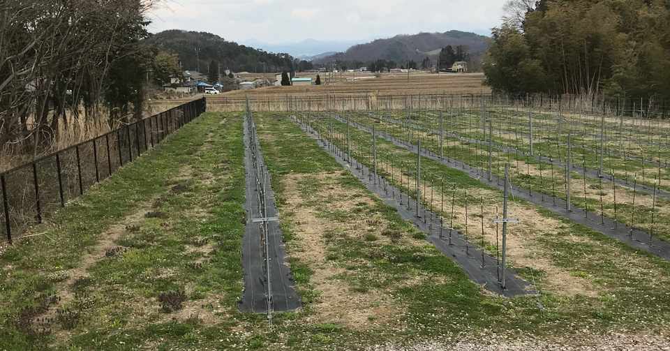 ミラクルミッション 15観光復興特区 福島 太郎 Note