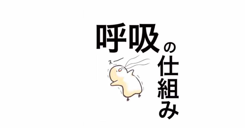 呼吸のこと 伊藤 陵亮 Note