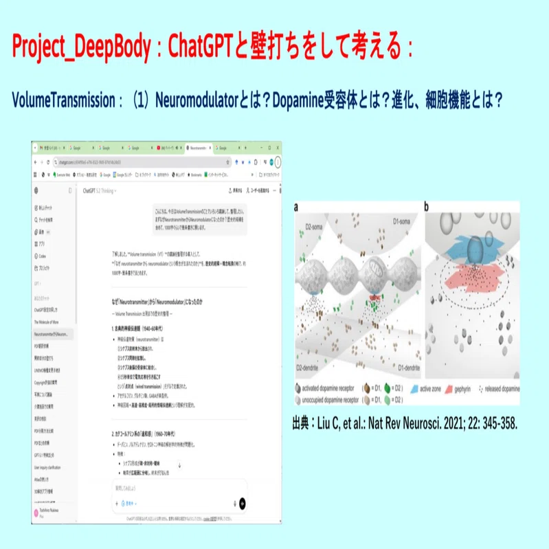 Project_DeepBody：ChatGPTに壁打ちをして考える VolumeTransmission 