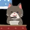 カレーそばの猫🐾🐾