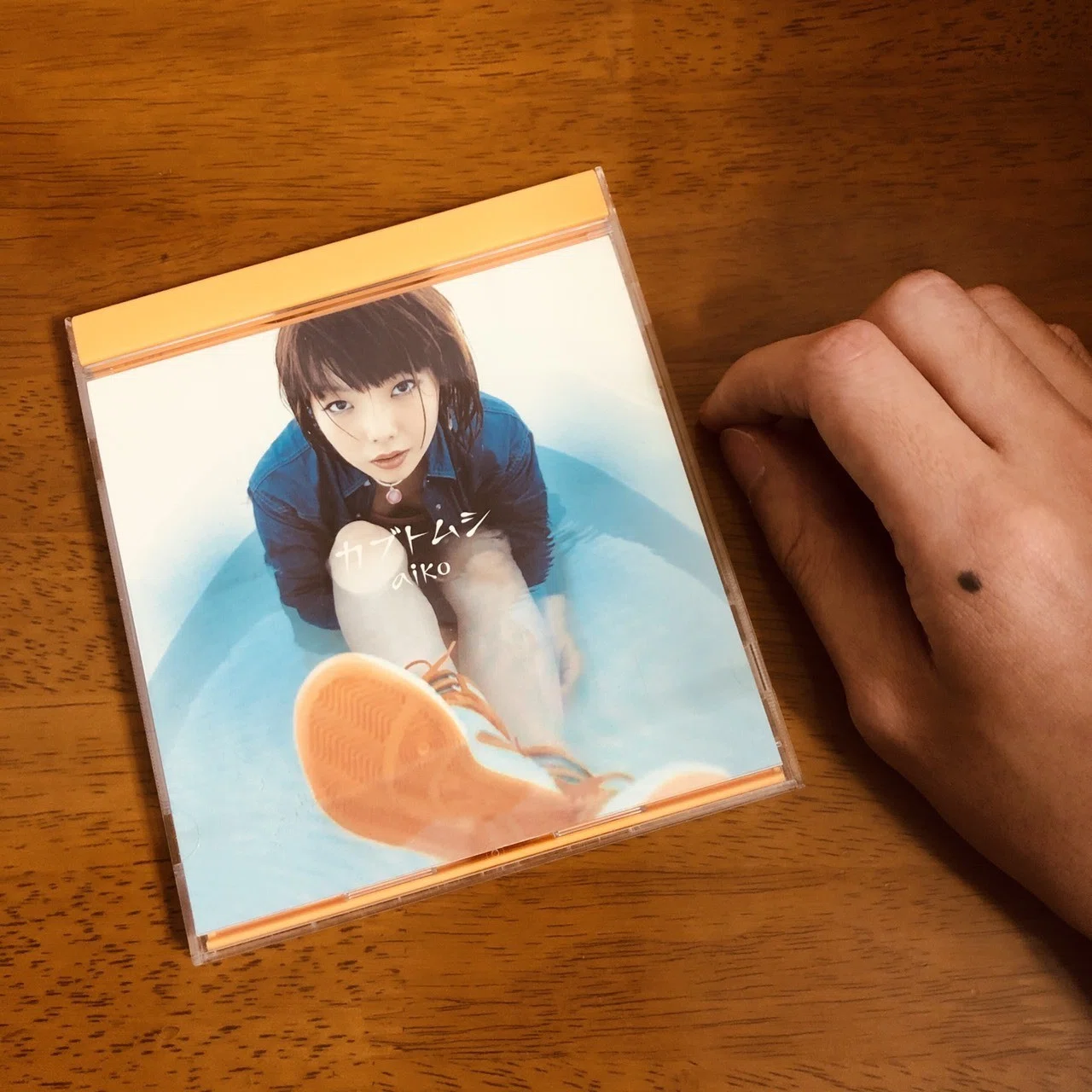 全曲紹介と回想文】aiko「桜の木の下」｜セパ タクロウ