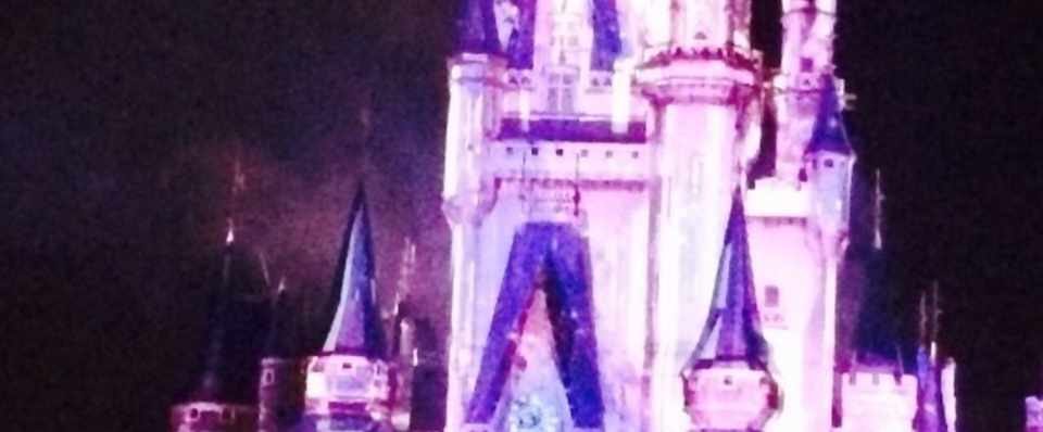 一人で東京ディズニーランドに行き 世界平和に思いを馳せた話 たけだ りな Note