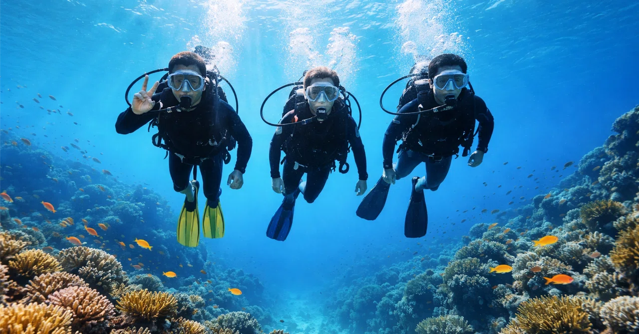 [For Beginners] Chapter 2: What are Diving Training Agencies ...