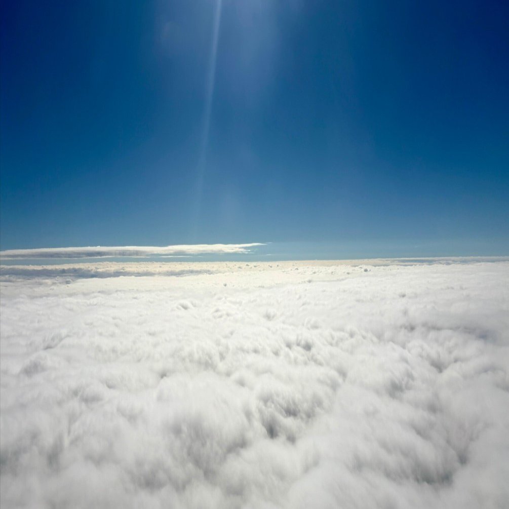 風景の変容　世界のるつぼ　他　基本セット２０１９　２８０枚＋トークン１７枚　他 Z/X -Zillions of enemy X- ぜくげ～これくしょんオーヴァーロード