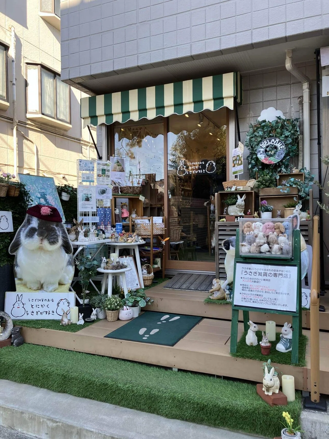 うさぎ雑貨のお店、とにかくうさぎが好きに行ってきた！｜サキュビットくん
