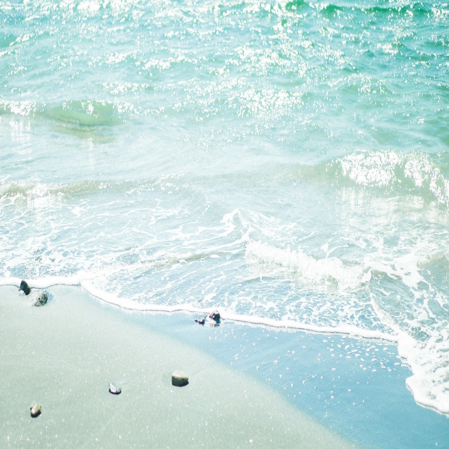 02】 料亭の料理のような言葉を食む。―三島由紀夫のおすすめ五選｜S.Chiaki, image size:2000x1047