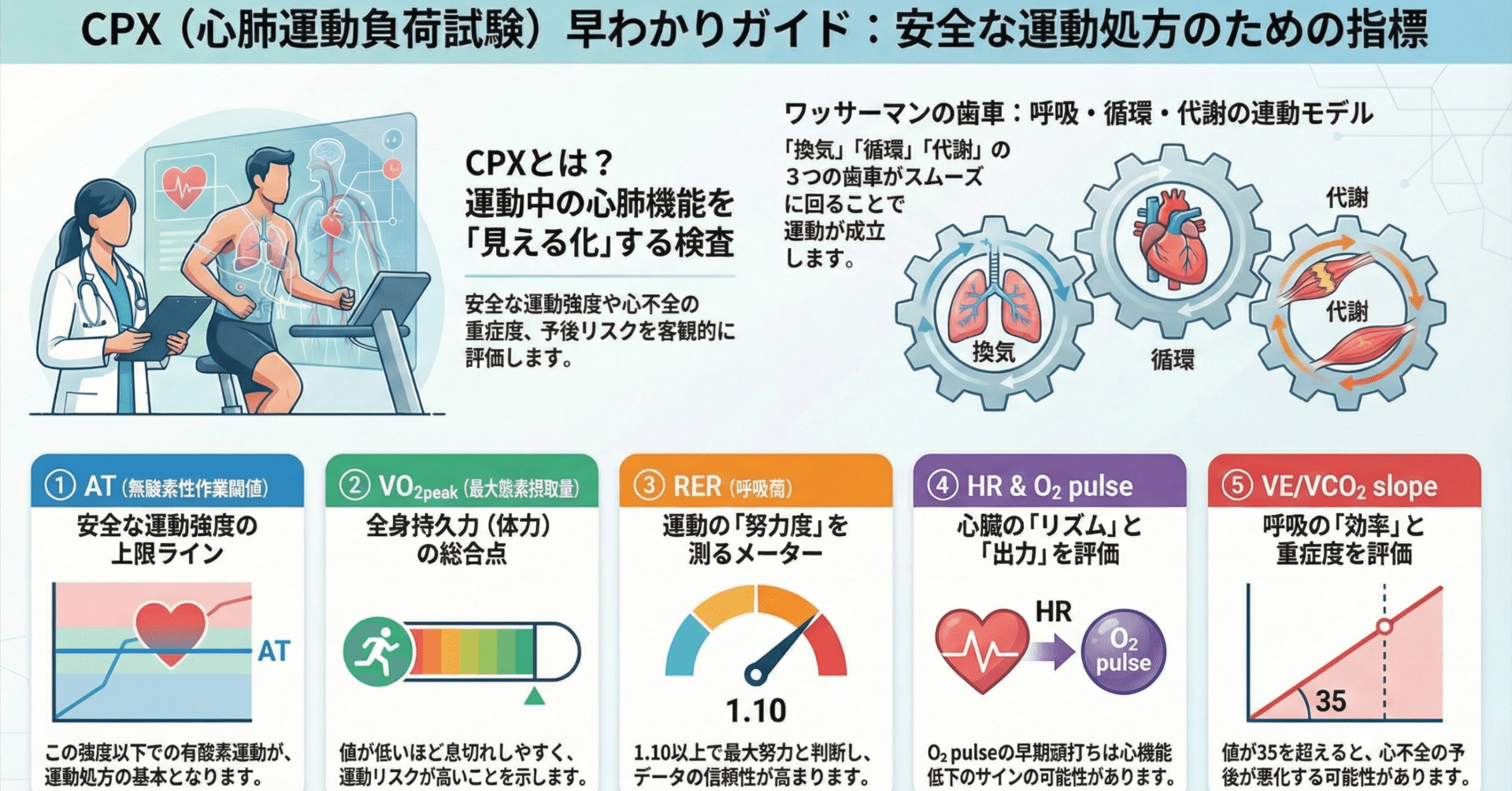 心肺運動負荷試験（CPX）について｜将ぐんPT/心リハ