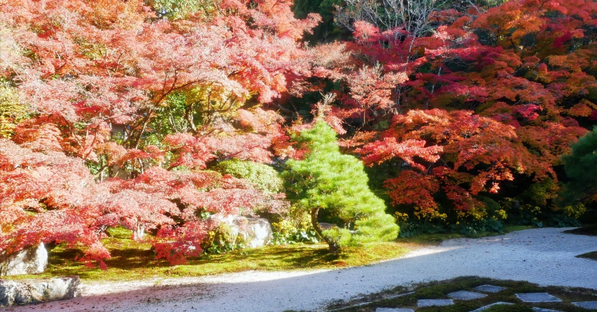 2025年京都紅葉めぐり①｜南禅寺塔頭・天授庵｜古都香／Kyoto