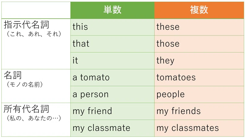 単数と複数で棚を整理する|yyek_potatomato|note