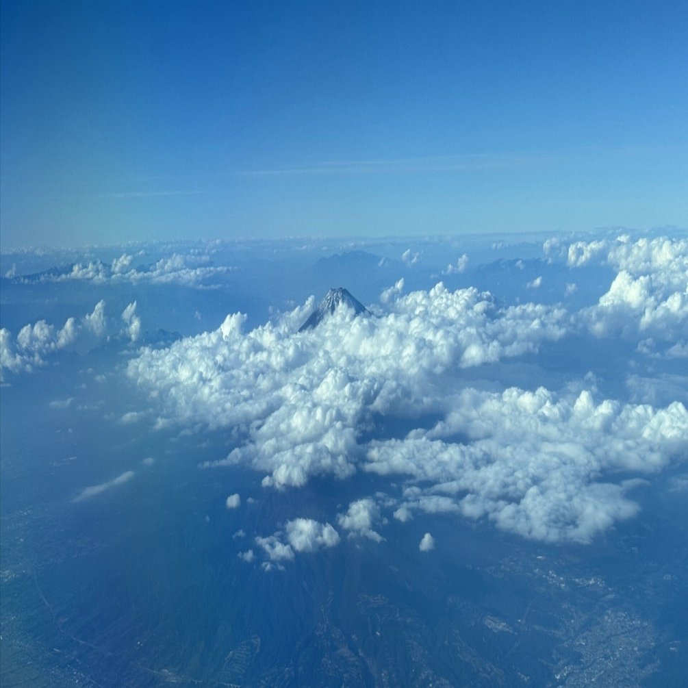 SFC修行 2025 まとめ｜t@93