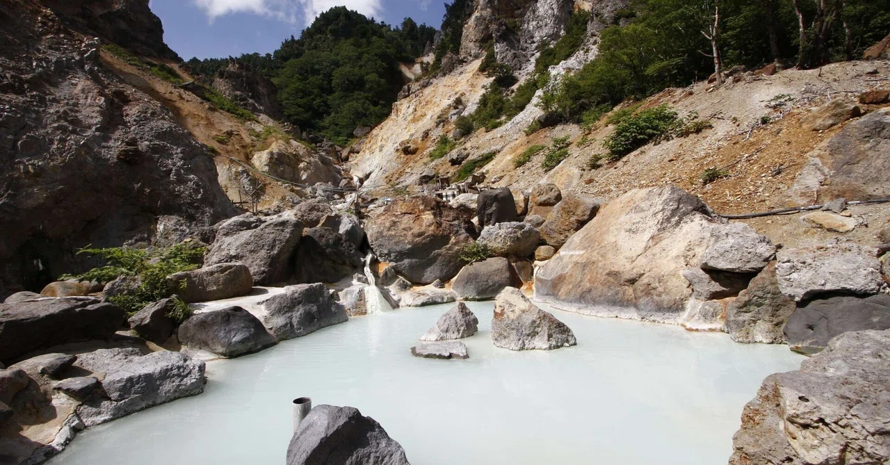 Unique Hot Springs in Eastern Japan ♨️｜湯りんこ