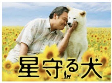 星守る犬 そい 心の根っこを育む先生 Kindle出版5冊目6作目執筆中 毎日投稿297日 Note