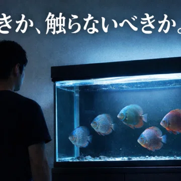 ディスカスの繁殖に向けた記録｜にじかぶ｜noteで生きていく｜note