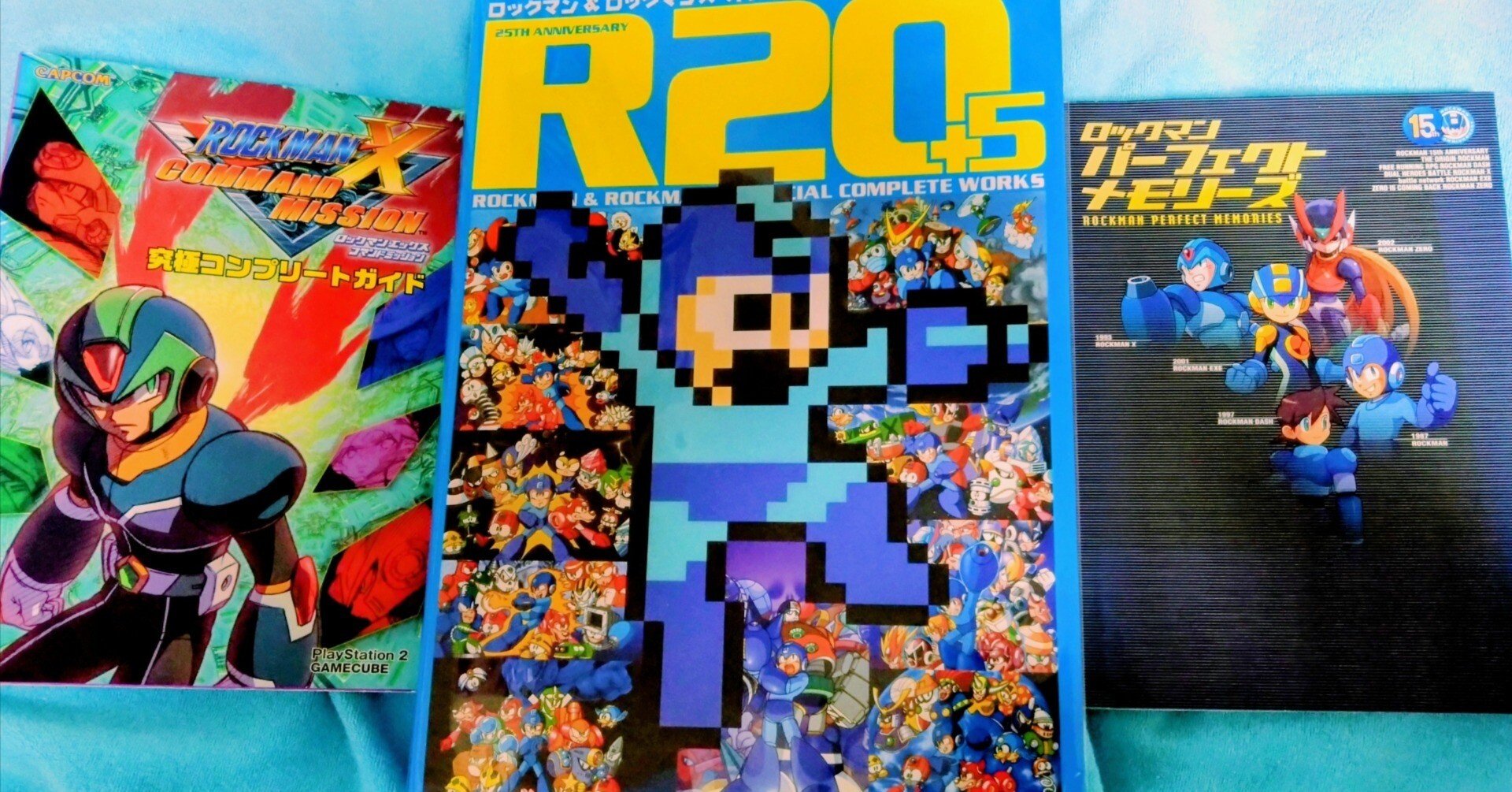 2025年、たくさん集めた資料に集まってもらった〜1年振り返り〜｜えびまよ