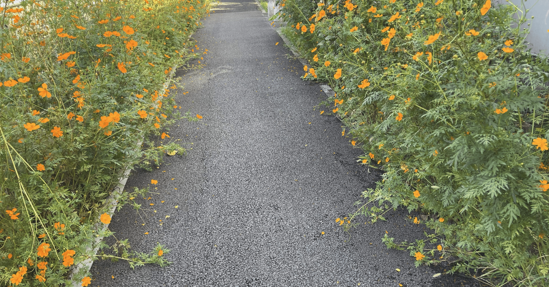 マッチングアプリでブロックされたのにLINEは繋がる男の心理と私の対策法｜もち子｜婚活体験談