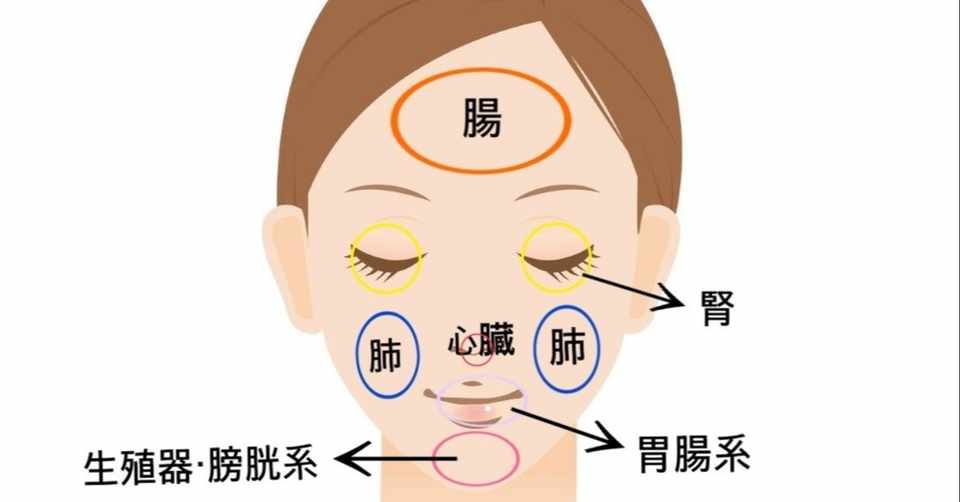 胃腸は訴えてる こじか漢方薬局くよし Note