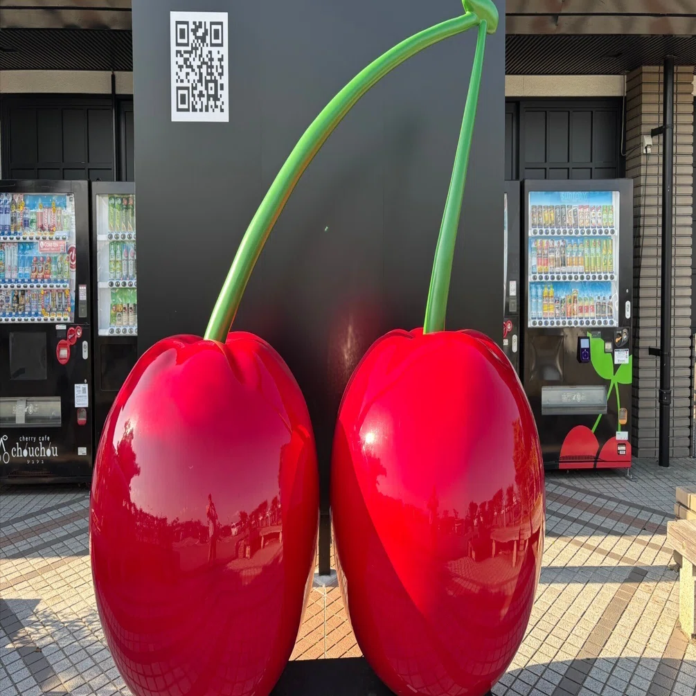 初めておてつたびで知った、さくらんぼの向こう側｜pirosii