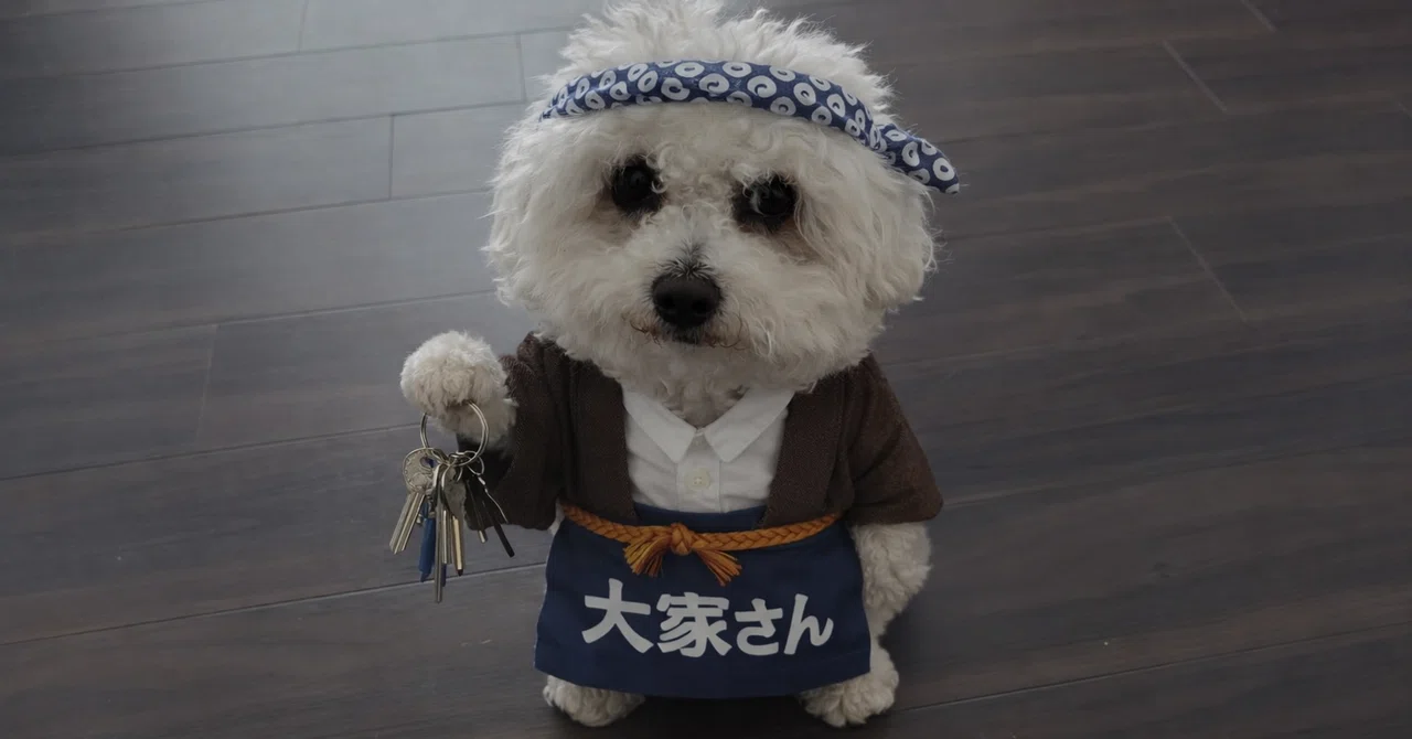 きのこ犬の先へ…｜ももあき