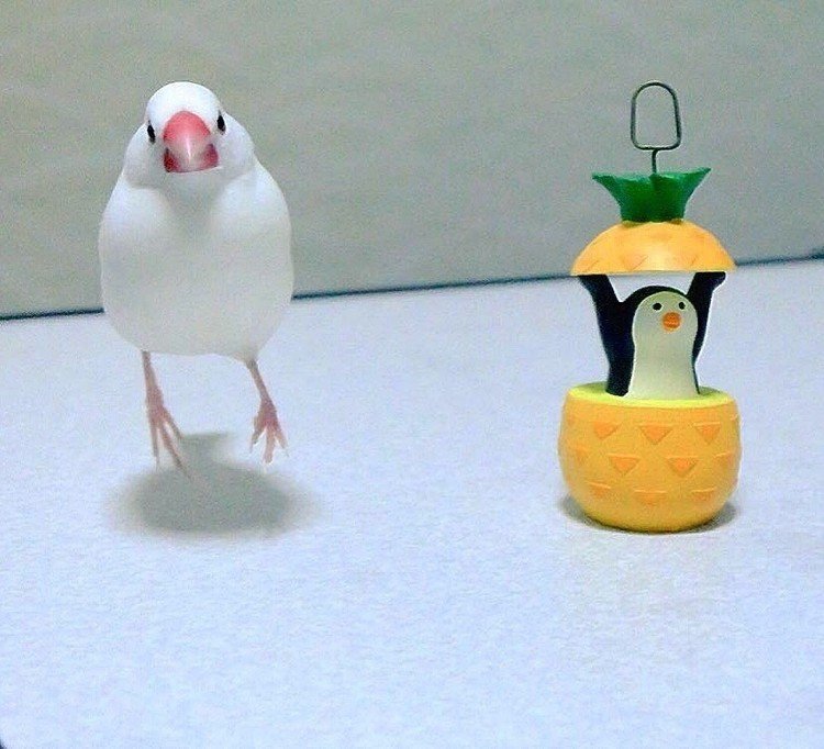 ピノの瞬間 みち Note ピノの瞬間 みち Note