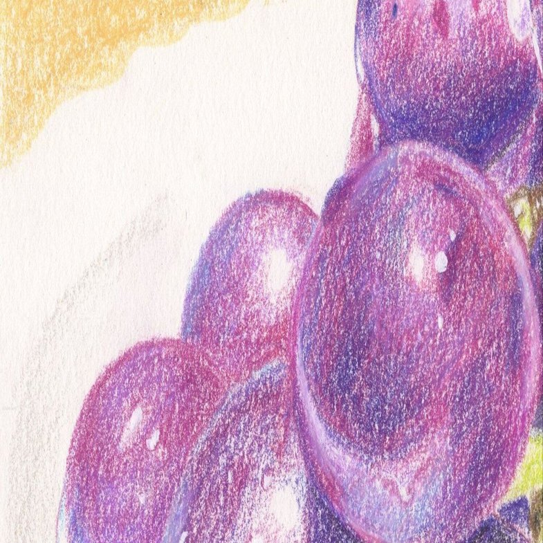 もふもふ特等席 色鉛筆画 もふもふ特等席 色鉛筆画 もふもふ特等席 色鉛筆画