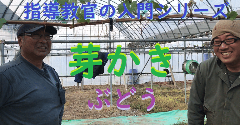 動画のまとめノート 芽かき ぶどうの栽培入門 １０ 雷農大 らいのうだい Note